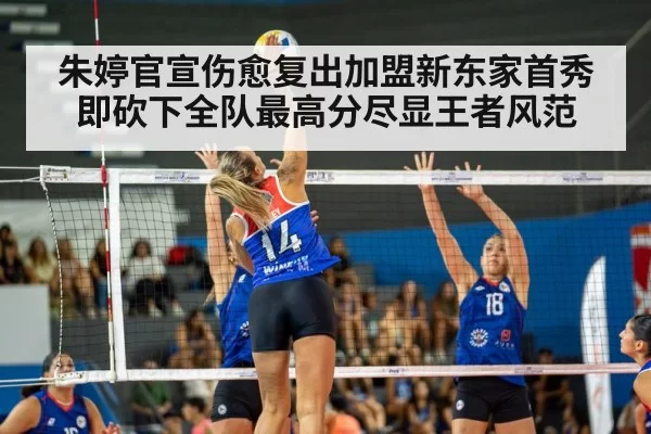 volleyball spike action